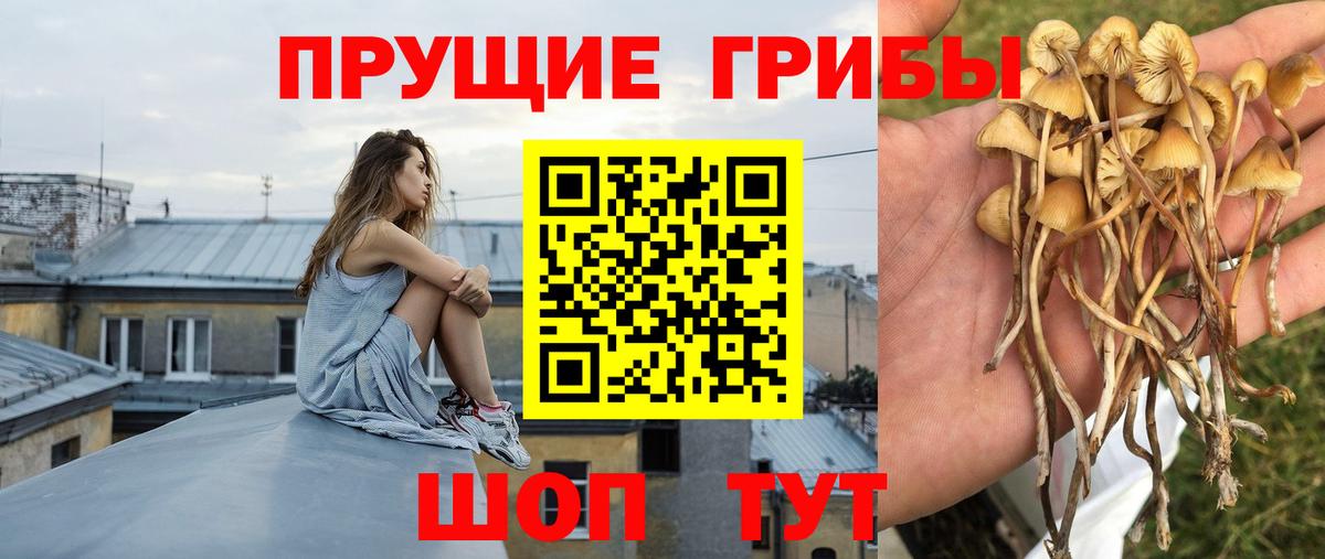 Псилоцибиновые грибы Magic Shrooms  Галлюциногенные грибы MAGIC MUSHROOMS  Магадан  Вход с VPN 