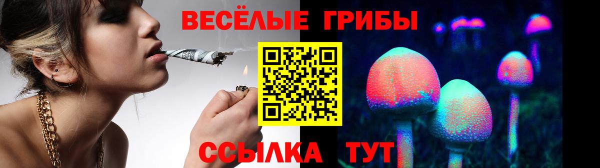 Галлюциногенные грибы мицелий Магадан